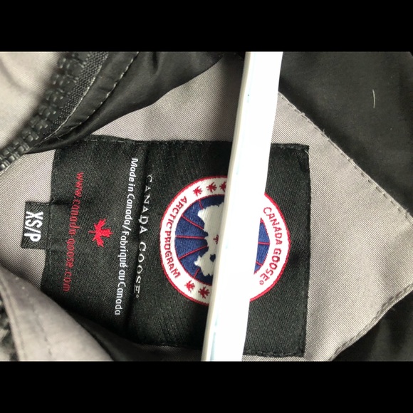 Gray Canada goose for sale - Picture 11 of 11
